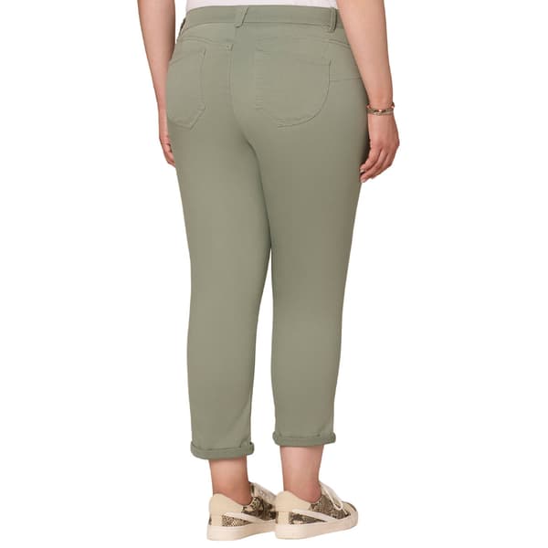Plus Size Democracy "Ab"solution® Ankle Skimmer Jeans