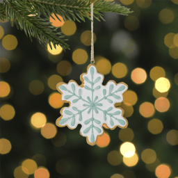 Northlight Frosted Snowflake Cookie Christmas Ornament