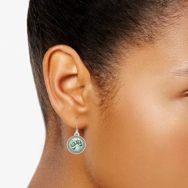 Napier Silver-Tone & Green Single Drop Leverback Earrings