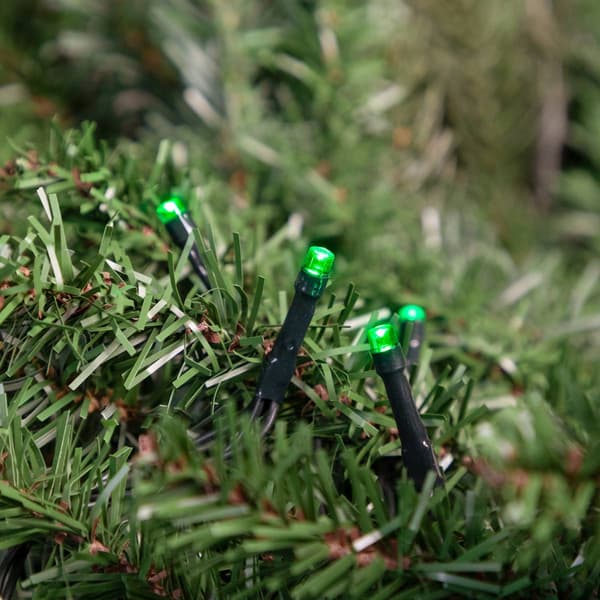 Northlight Seasonal 20ct. Black Wire Green LED Christmas Lights
