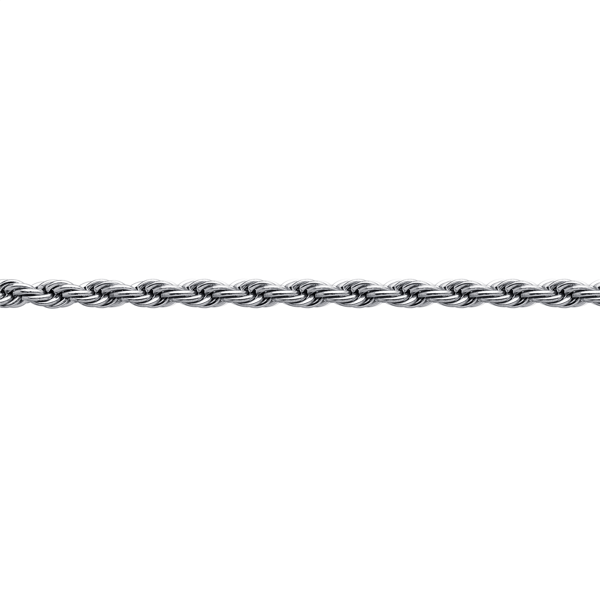 Mens Lynx Stainless Steel 4mm Rope Chain Necklace