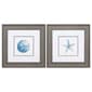 Sand Dollar Starfish Wall Decor Set of 2 - image 1