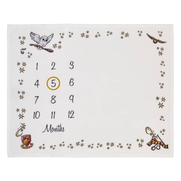 Warner Bros. Harry Potter Magical Moments Milestone Baby Blanket