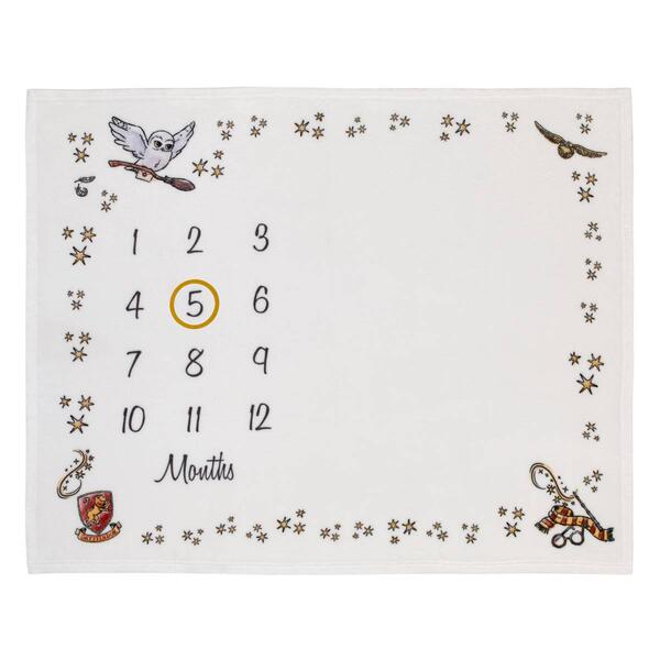 Warner Bros. Harry Potter Magical Moments Milestone Baby Blanket - image 