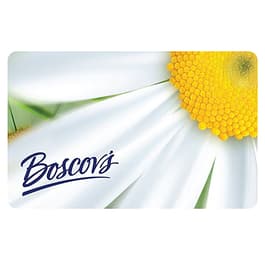 Boscov&#39;s Daisy Gift Card