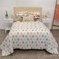 Donna Sharp Your Lifestyle Journey Bedding Collection