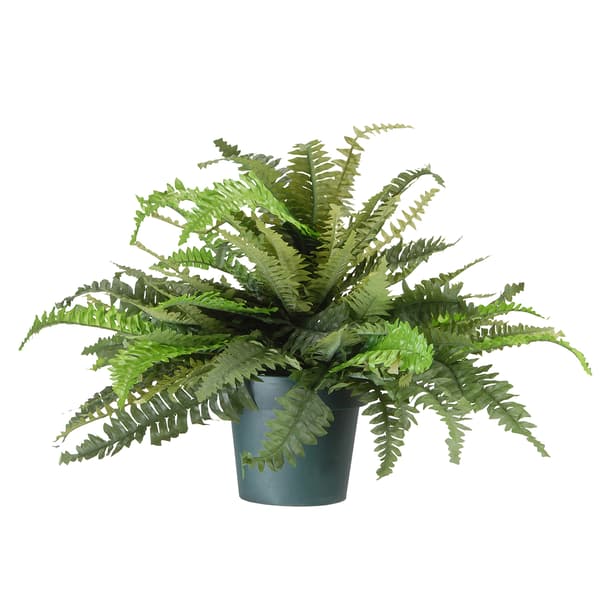 National Tree 20in. Fern Plant - image 