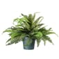 National Tree 20in. Fern Plant - image 1