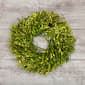 Northlight Seasonal 10in. Artificial Green Foliage Spring Wreath - image 2