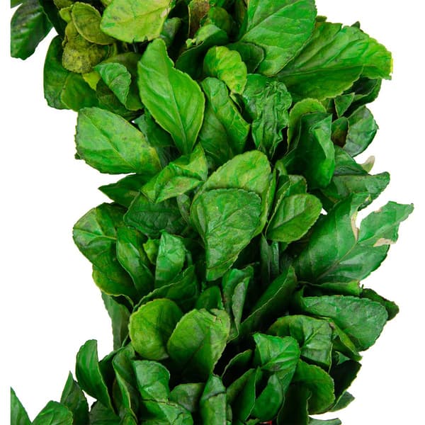 Northlight Seasonal Preserved Leaf Spring Garden Wreath