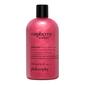 Philosophy Raspberry Sorbet Hydrating Shower Gel - image 1