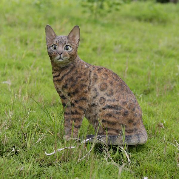 Hi-Line Gift Sitting Bengal Cat Garden Statue