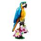 LEGO&#174; Creator Exotic Parrot - image 2