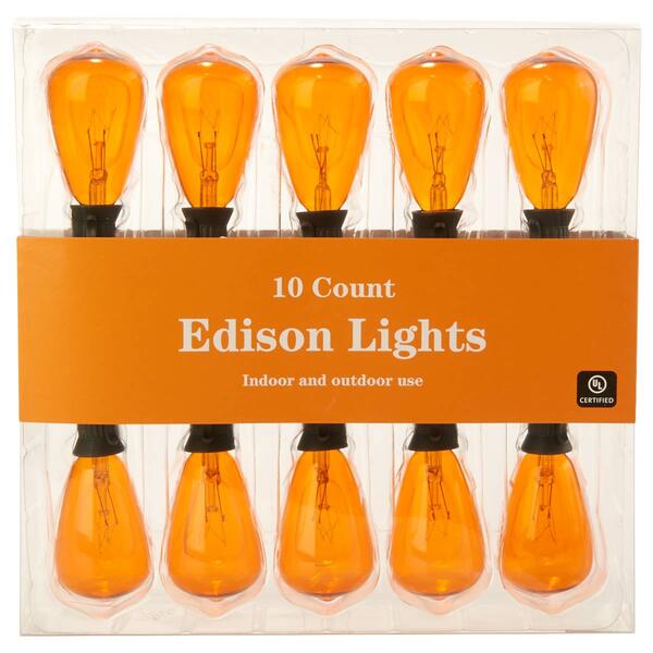 10ct. Orange Edison Bulbs String Lights - image 
