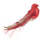 Northlight Bird with Feather Tail Christmas Clip Ornament - image 3