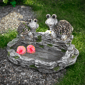 Northlight Turtle Couple Outdoor Garden Bird Bath - image 1