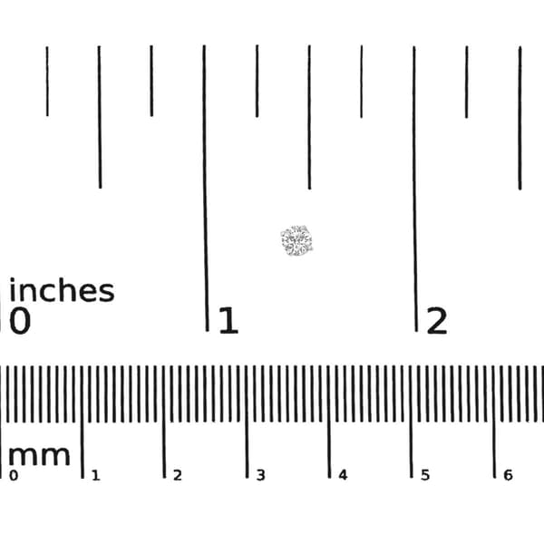 Haus of Brilliance Silver 1/4ctw. Lab Grown Diamond Stud Earrings