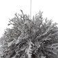 Northlight 7in. White Frosted Round Twig Christmas Ornament - image 3