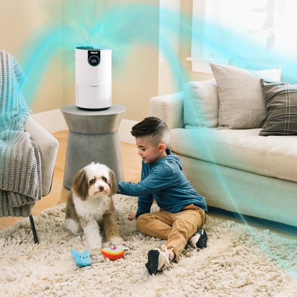 Shark® Air Purifier with True HEPA
