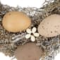 Northlight Seasonal Natural Speckled Eggs Easter Twig Wreath - image 5