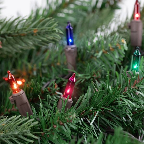 Northlight Seasonal 100ct. Multi-Color Mini Christmas Lights