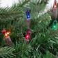 Northlight Seasonal 100ct. Multi-Color Mini Christmas Lights - image 3