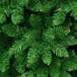 National Tree 7.5ft. Rowan Pencil Slim Tree - image 3