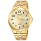 Mens Citizen&#40;R&#41; Quartz Gold Watch - BF5002-99P - image 1