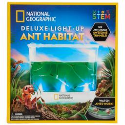 National Geographic Ant Habitat