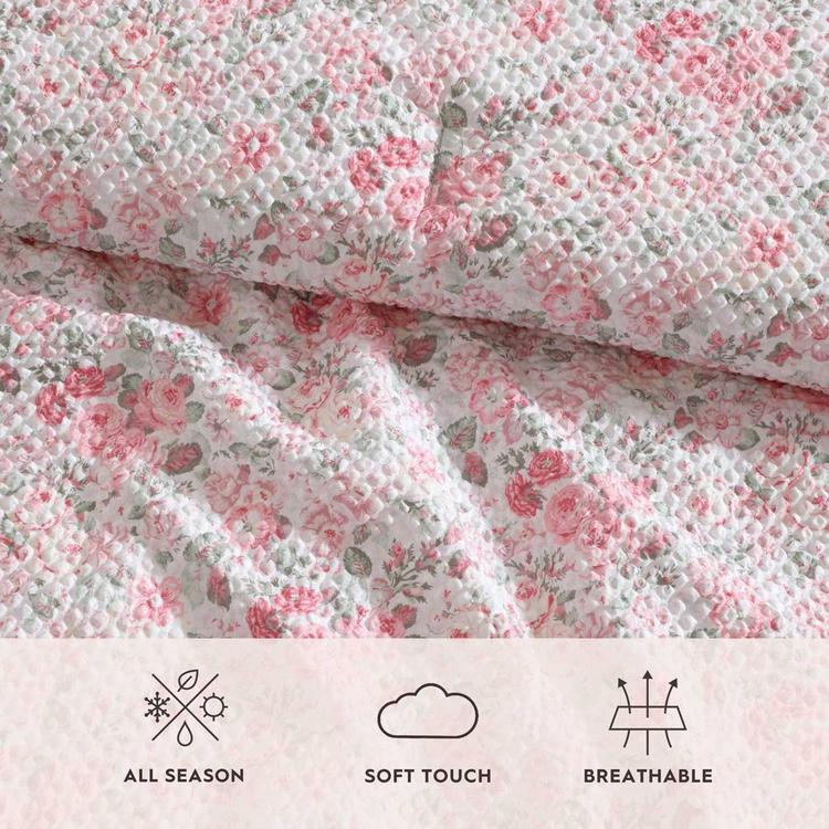 Laura Ashley Quartet 8pc. Microfiber Bed In A Bag