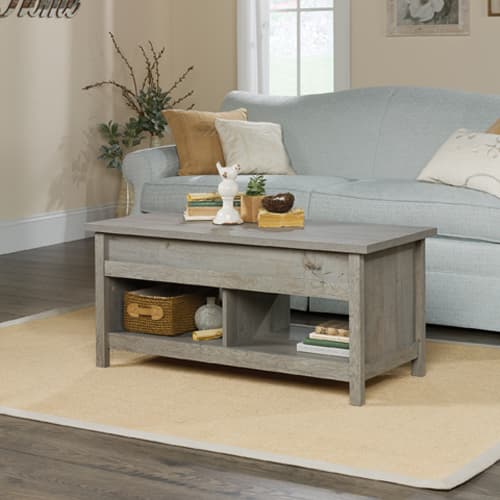 Sauder Cannery Bridge Lift Top Coffee Table - Mystic Oak - image 