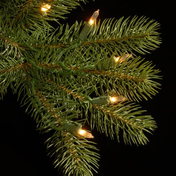 National Tree 36in. LED Downswept Douglass Wreath