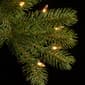 National Tree 36in. LED Downswept Douglass Wreath - image 2