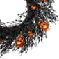 Northlight Seasonal 22in. Unlit Skulls & Spiders Halloween Wreath - image 4
