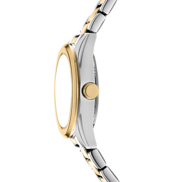 Womens DKNY Logo Silver Dial Two-Tone Watch Gift Set DK1L145M0095