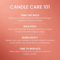 Yankee Candle® In The Patch 22oz. Large Jar Candle