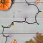 Northlight Seasonal 50ct. Multi Color Holiday Lights - image 2
