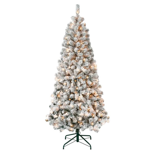 National Tree 6ft. Acacia Flocked Pre-Lit Christmas Tree