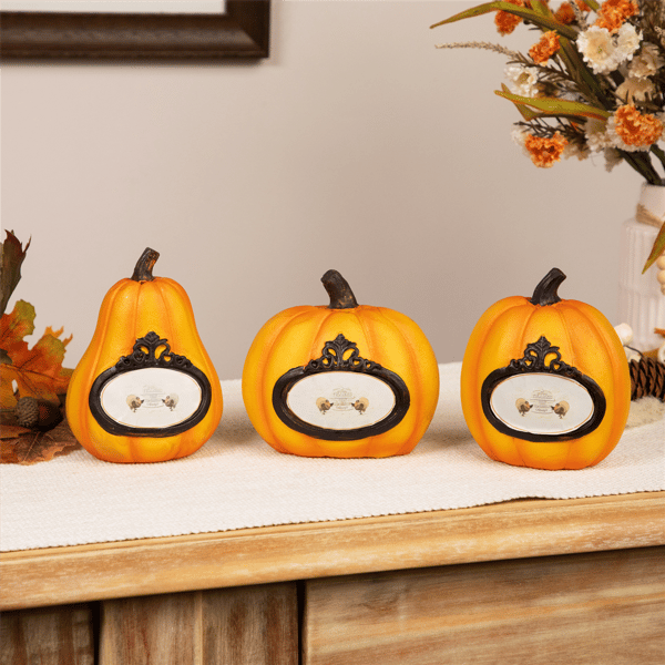 Northlight 3pc Pumpkins "Thanks Today Tomorrow Always" Fall Décor