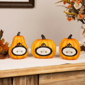 Northlight 3pc Pumpkins "Thanks Today Tomorrow Always" Fall Décor - image 6