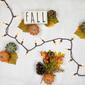Northlight Seasonal 100-Count Amber Mini Fall Harvest Lights - image 2