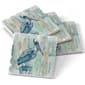 Thirstystone 4pk. 4.25in. Arianna Pelican Square Coasters Set - image 2