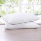 Firefly Twin Pack White Goose Nano Down and Feather Blend Pillows - image 1