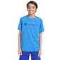 Boys (8-20) Champion(R) Signature Tonal Short Sleeve Tee - image 1
