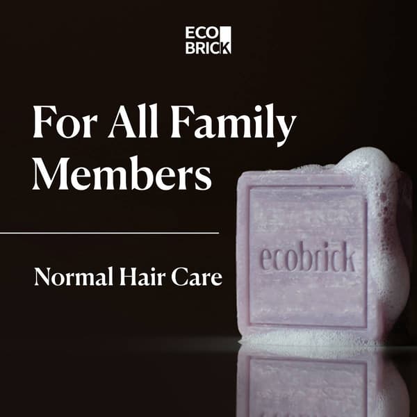 EcoBrick Mild Acidic Normal Hair Care Shampoo Bar