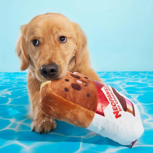 Bark Grand Slam Ice Cream Sandwich Dog Toy