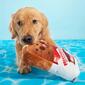 Bark Grand Slam Ice Cream Sandwich Dog Toy - image 3