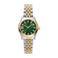 Womens DKNY Essentials Green Dial Two-Tone Watch - DK1L156M0095 - image 1