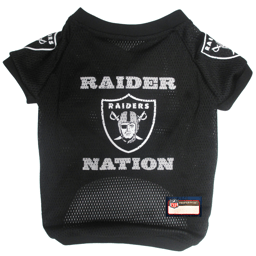 NFL Las Vegas Raiders Raglan Pet Jersey