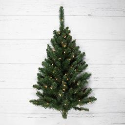 Northlight Seasonal 3ft. Pre-Lit Fir Hanging Christmas Tree